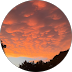 Tx Main